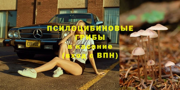 прущая мука Баксан