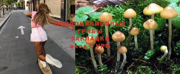 прущая мука Баксан